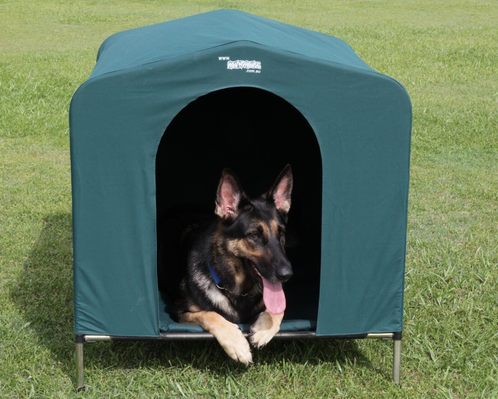 Houndhouse Dog Kennel X Large Green HoundHouse