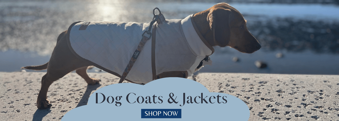 Pets of Sandgate Brisbane Pet Store Click & Collect Open 7 Days