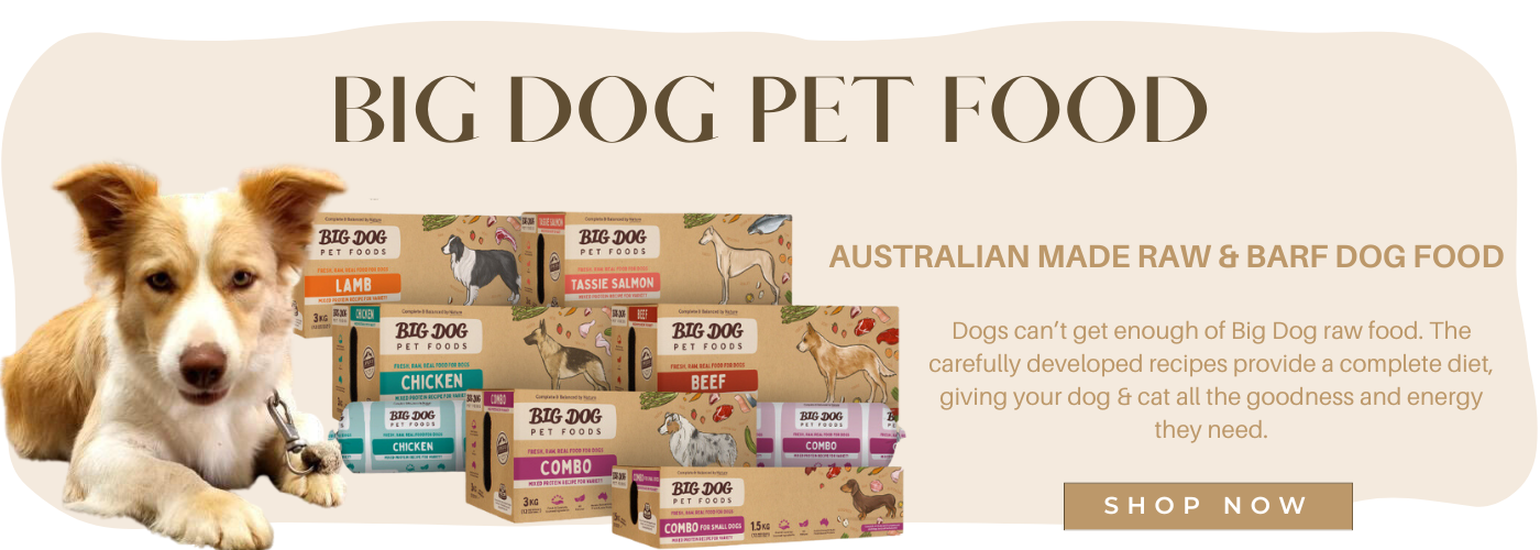 Pets of Sandgate Brisbane Pet Store Click & Collect Open 7 Days