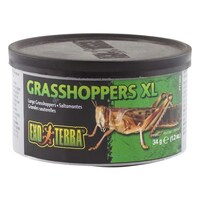 Exo Terra Wild Grasshoppers Reptile Food - X-Large (34g)