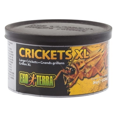 Exo Terra Crickets Reptile Food - X-Large (34g)