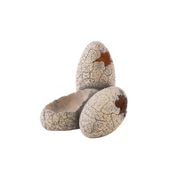 Exo Terra Dinosaur Eggs Hideout & Water Dish