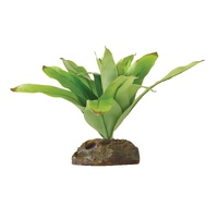 Exo Terra Dart Frog Bromelia Smart Plant - Small - Neoregelia