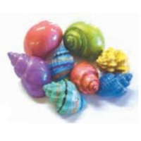 Hermit Crab Spare Shell - Painted - Large