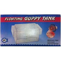Floating Guppy Tank