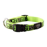 Rogz Beltz Fancy Dress Dog Collar - Lime Juice - Medium Scooter (16mm x 26-40cm)