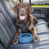 Kurgo Splash Free Wander Water Bowl - 710ml