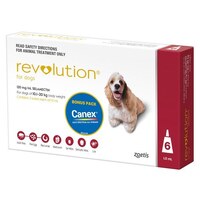 Revolution for Dogs 10.1-20 kgs - 6 Pack - Red