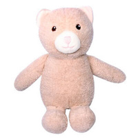 Pet One Plush Squeaky Dog Toy - Crinkle Cat (30cm)