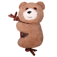 Pet One Plush Squeaky Dog Toy - Teddy with Rope (18cm)