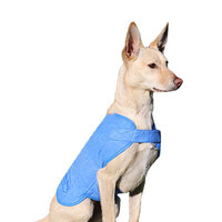 Aussie Dog Wet Vest - Medium