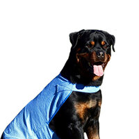 Aussie Dog Wet Vest - X-Large