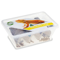 Pisces Live Crickets - Large