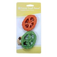 Premier Small Animal Loofah Chews - 2 Pack