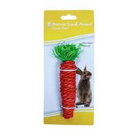 Premier Small Animal Carrot Chew