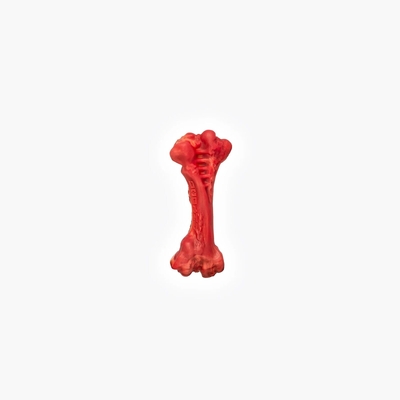 Ezydog EzyBone Chew Toy for Dogs - Medium