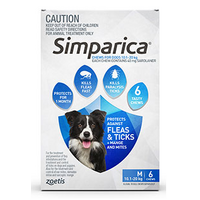 Simparica for Medium Dogs 10.1-20kg - Blue - 6 Pack