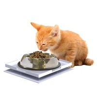 Ant Proof Plate for Dog & Cat Food Bowl - Square