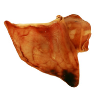 Australian Pigs Ear - 50 Pack