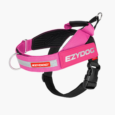 Ezydog Express Harness - Pink