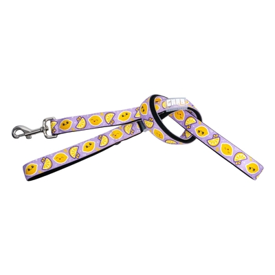 FuzzYard Dog Lead - Easy Peasy