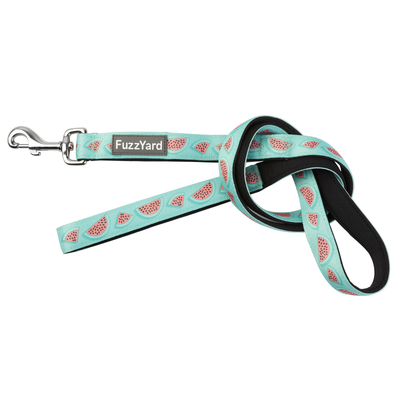 FuzzYard Dog Lead - Summer Punch