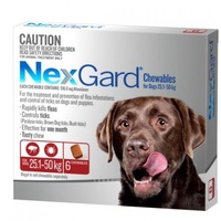 NexGard for dogs 25.1-50 kgs - Red - 12 Pack