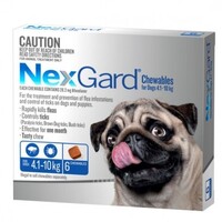 NexGard for dogs 4.1-10 kgs - Blue - 12 Pack