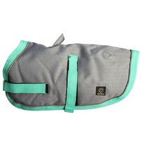 Pet One NightWalker Dog Coat - Grey/Aqua