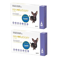 Revolution for Dogs 2.6-5 kgs - 12 Pack - Purple