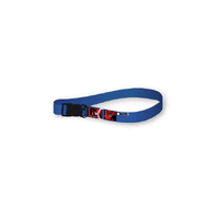 Black Dog Standard Collar - Small - 19mm x 24-36cm (Colours: Purple, Pink, Red, Black, Blue, Green)