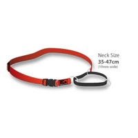 Black Dog Training Collar - Large