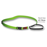 Black Dog Training Collar - Extra Large