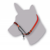 Black Dog Training Halter - Small (Red)