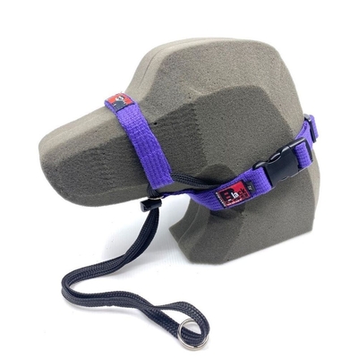 Black Dog Training Halter - X-Large (Purple)