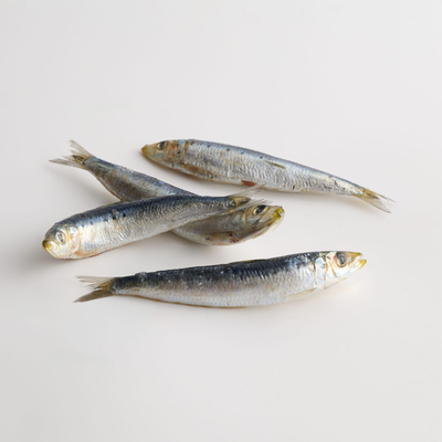 Canine Country Whole Sardines - 1kg