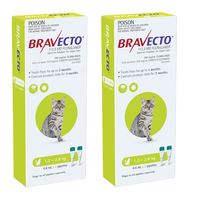 Bravecto Spot-On for Small Cats 1.2-2.8kg - Green (12 Months)