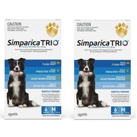 Simparica TRIO for Medium Dogs 10.1-20kg - Blue - 12 Pack