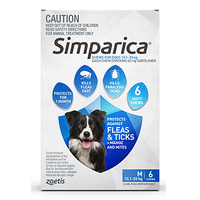 Simparica for Medium Dogs 10.1-20kg - Blue - 12 Pack