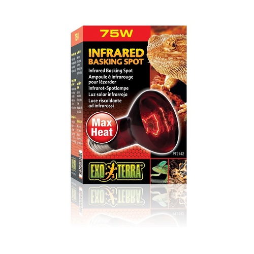 Exo Terra Infrared Basking Spot Lamp - 75 Watt