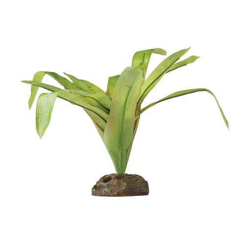 Exo Terra Dart Frog Bromelia Smart Plant - Medium - Vriesea