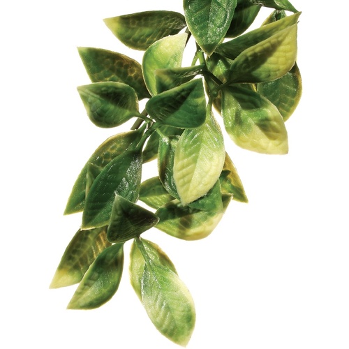Exo Terra Hanging Rainforest Plant - Mandarin - Small