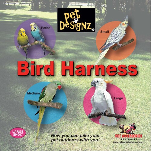 Bird Harness - Petite (Budgie Size) (Black)