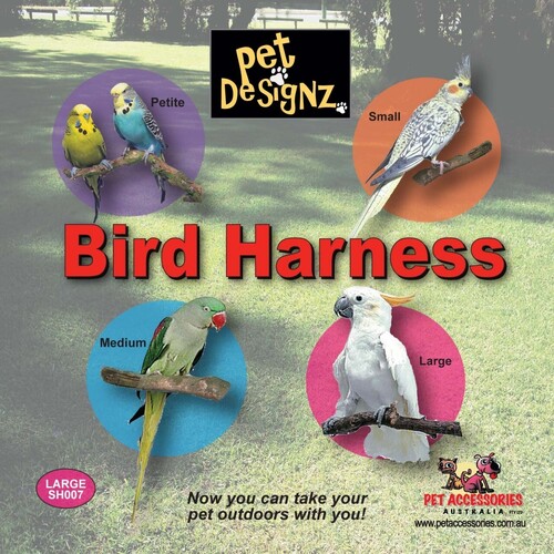 Bird Harness - Small (Cockatiel Size) (Black)