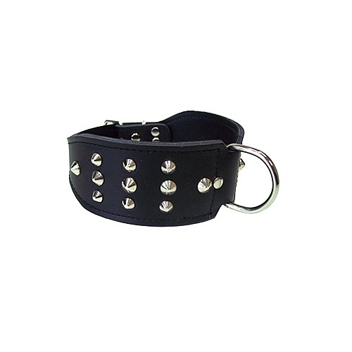 Studded Staffy Dog Collar - 55cm (Black)
