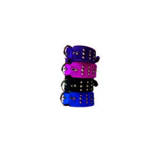 Studded Staffy Dog Collar - 60cm (Blue)