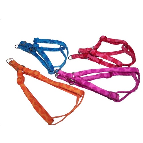 Bubble Dog Harness - X-Small - 25-35cm (Blue)