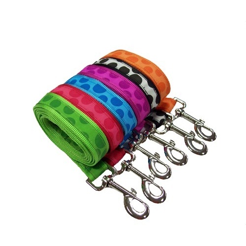 Bubble Dog Lead - 20mm x 150cm (Blue)