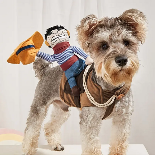 Cowboy Riding Dog Costume - Large