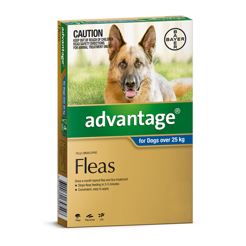 Advantage for Dogs over 25 kgs - 4 Pack - Blue